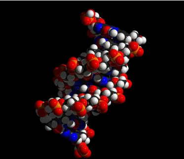 新的循環(huán)腫瘤 DNA 測試可測量多種標(biāo)記物以早期發(fā)現(xiàn)癌癥