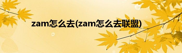 zam怎么去(zam怎么去聯(lián)盟)