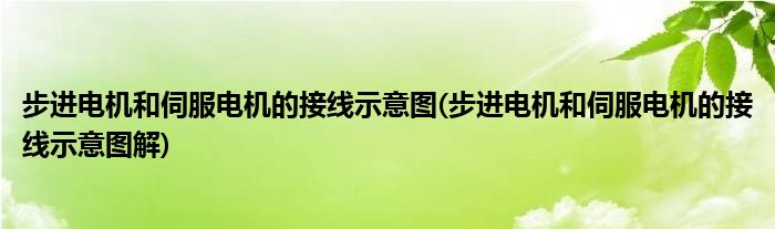 步進電機和伺服電機的接線示意圖(步進電機和伺服電機的接線示意圖解)