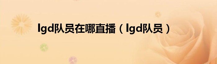 lgd隊員在哪直播（lgd隊員）