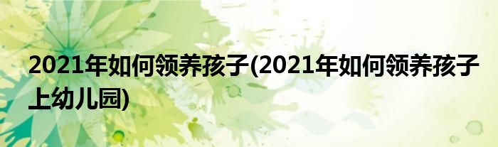 2021年如何領(lǐng)養(yǎng)孩子(2021年如何領(lǐng)養(yǎng)孩子上幼兒園)