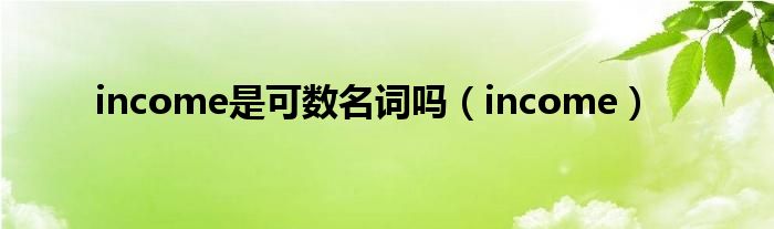 income是可數(shù)名詞嗎（income）