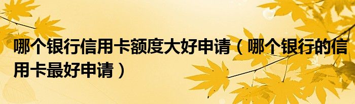 哪個(gè)銀行信用卡額度大好申請（哪個(gè)銀行的信用卡最好申請）