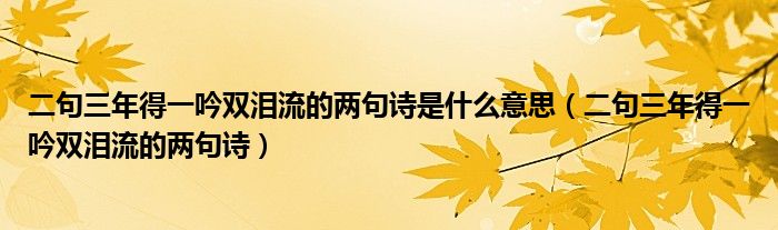 二句三年得一吟雙淚流的兩句詩是什么意思（二句三年得一吟雙淚流的兩句詩）