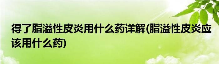 得了脂溢性皮炎用什么藥詳解(脂溢性皮炎應該用什么藥)