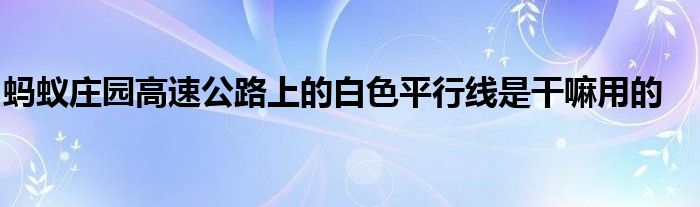 螞蟻莊園高速公路上的白色平行線是干嘛用的