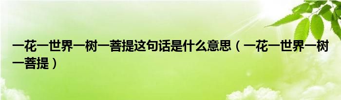 一花一世界一樹一菩提這句話是什么意思（一花一世界一樹一菩提）