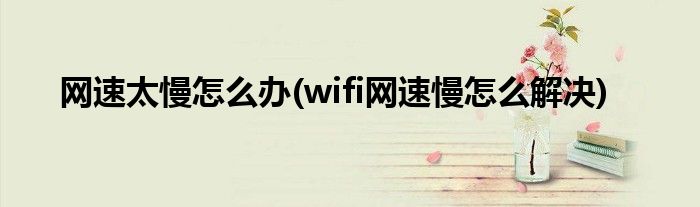 網(wǎng)速太慢怎么辦(wifi網(wǎng)速慢怎么解決)