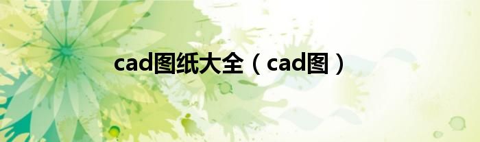 cad圖紙大全（cad圖）