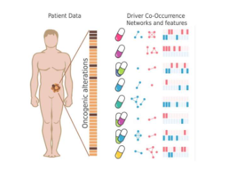 癌癥驅(qū)動(dòng)基因的共現(xiàn)是精準(zhǔn)醫(yī)學(xué)的關(guān)鍵