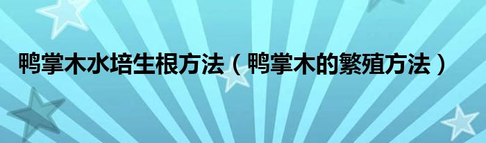 鴨掌木水培生根方法（鴨掌木的繁殖方法）