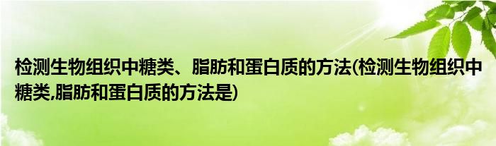 檢測生物組織中糖類、脂肪和蛋白質(zhì)的方法(檢測生物組織中糖類,脂肪和蛋白質(zhì)的方法是)