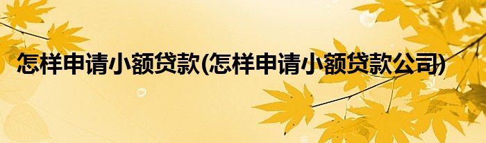 怎樣申請小額貸款(怎樣申請小額貸款公司)