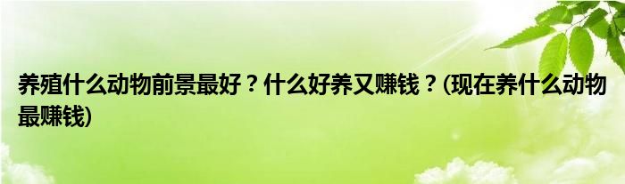 養(yǎng)殖什么動物前景最好？什么好養(yǎng)又賺錢？(現(xiàn)在養(yǎng)什么動物最賺錢)