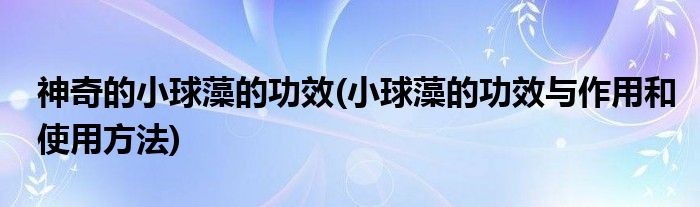 神奇的小球藻的功效(小球藻的功效與作用和使用方法)