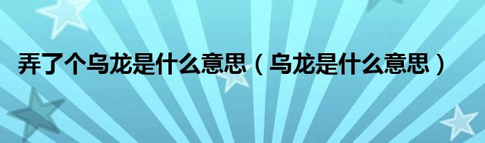 弄了個(gè)烏龍是什么意思（烏龍是什么意思）