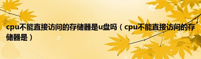 cpu不能直接訪問的存儲器是u盤嗎（cpu不能直接訪問的存儲器是）