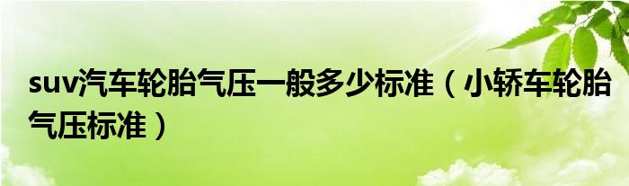 suv汽車輪胎氣壓一般多少標(biāo)準(zhǔn)（小轎車輪胎氣壓標(biāo)準(zhǔn)）