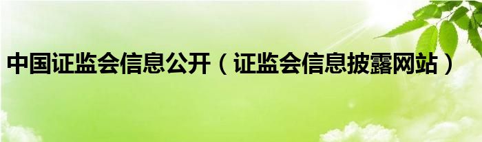 中國(guó)證監(jiān)會(huì)信息公開(kāi)（證監(jiān)會(huì)信息披露網(wǎng)站）