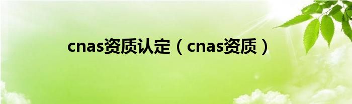 cnas資質(zhì)認(rèn)定（cnas資質(zhì)）