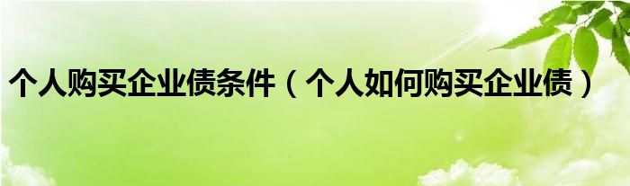 個人購買企業(yè)債條件（個人如何購買企業(yè)債）