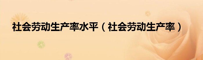 社會(huì)勞動(dòng)生產(chǎn)率水平（社會(huì)勞動(dòng)生產(chǎn)率）