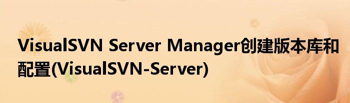 VisualSVN Server Manager創(chuàng)建版本庫(kù)和配置(VisualSVN-Server)