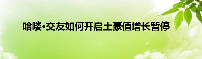 哈嘍·交友如何開(kāi)啟土豪值增長(zhǎng)暫停