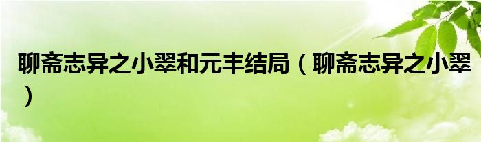 聊齋志異之小翠和元豐結(jié)局（聊齋志異之小翠）