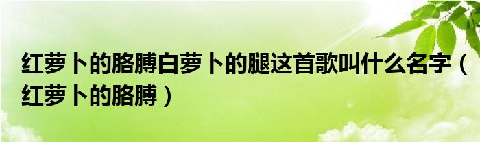 紅蘿卜的胳膊白蘿卜的腿這首歌叫什么名字（紅蘿卜的胳膊）