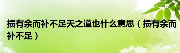 損有余而補不足天之道也什么意思（損有余而補不足）