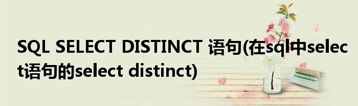 SQL SELECT DISTINCT 語句(在sql中select語句的select distinct)