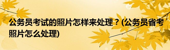 公務(wù)員考試的照片怎樣來(lái)處理？(公務(wù)員省考照片怎么處理)