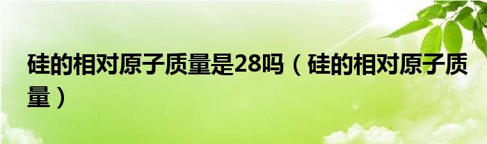 硅的相對原子質(zhì)量是28嗎（硅的相對原子質(zhì)量）