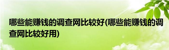 哪些能賺錢的調(diào)查網(wǎng)比較好(哪些能賺錢的調(diào)查網(wǎng)比較好用)