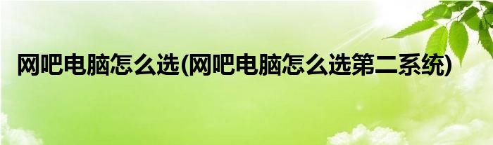 網(wǎng)吧電腦怎么選(網(wǎng)吧電腦怎么選第二系統(tǒng))