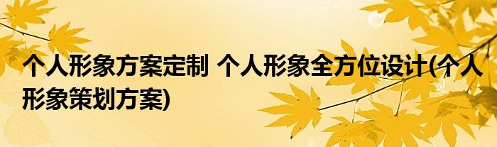 個(gè)人形象方案定制 個(gè)人形象全方位設(shè)計(jì)(個(gè)人形象策劃方案)