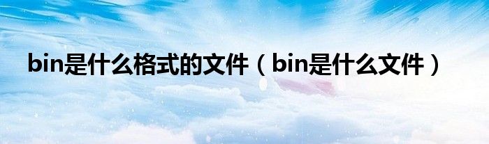 bin是什么格式的文件（bin是什么文件）