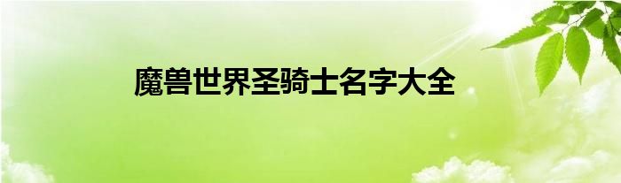 魔獸世界圣騎士名字大全