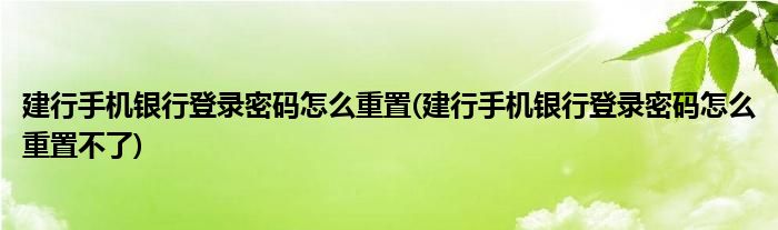 建行手機(jī)銀行登錄密碼怎么重置(建行手機(jī)銀行登錄密碼怎么重置不了)