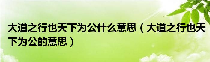 大道之行也天下為公什么意思（大道之行也天下為公的意思）