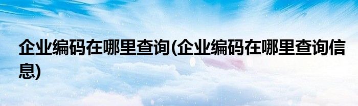 企業(yè)編碼在哪里查詢(企業(yè)編碼在哪里查詢信息)