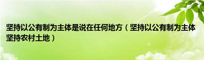 堅持以公有制為主體是說在任何地方（堅持以公有制為主體 堅持農(nóng)村土地）