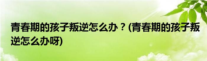 青春期的孩子叛逆怎么辦？(青春期的孩子叛逆怎么辦呀)