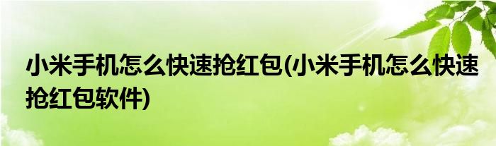 小米手機(jī)怎么快速搶紅包(小米手機(jī)怎么快速搶紅包軟件)