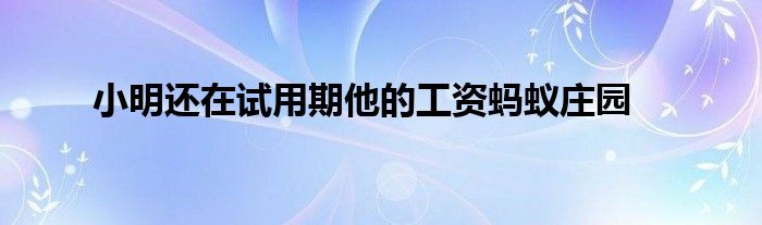 小明還在試用期他的工資螞蟻莊園