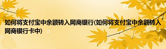 如何將支付寶中余額轉(zhuǎn)入網(wǎng)商銀行(如何將支付寶中余額轉(zhuǎn)入網(wǎng)商銀行卡中)