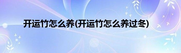 開運(yùn)竹怎么養(yǎng)(開運(yùn)竹怎么養(yǎng)過冬)