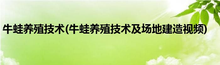 牛蛙養(yǎng)殖技術(shù)(牛蛙養(yǎng)殖技術(shù)及場地建造視頻)