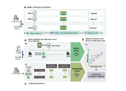 科學(xué)家設(shè)計新方法對人工智能生成的放射學(xué)報告的準確性進行評分